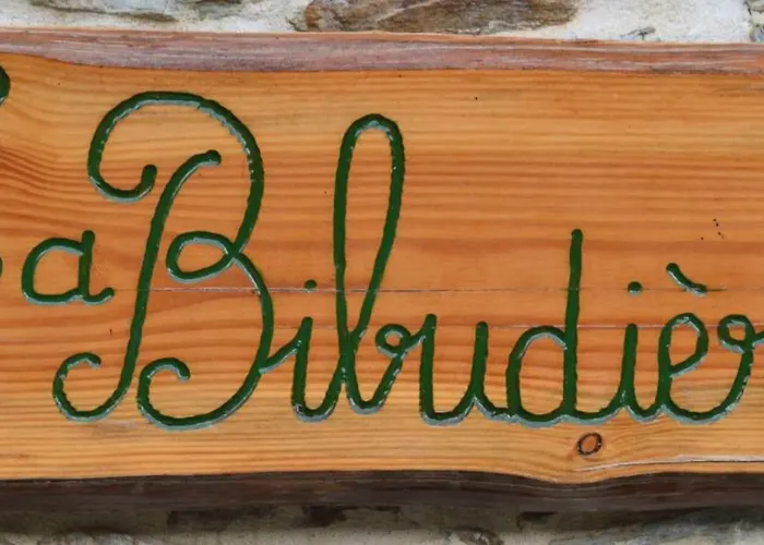 Tatil Evi De La Bibudiere Le Boupère
